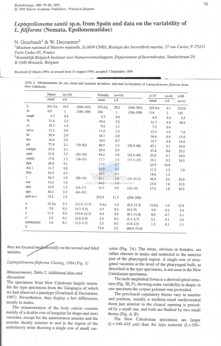 Leptepsilonema filiforme