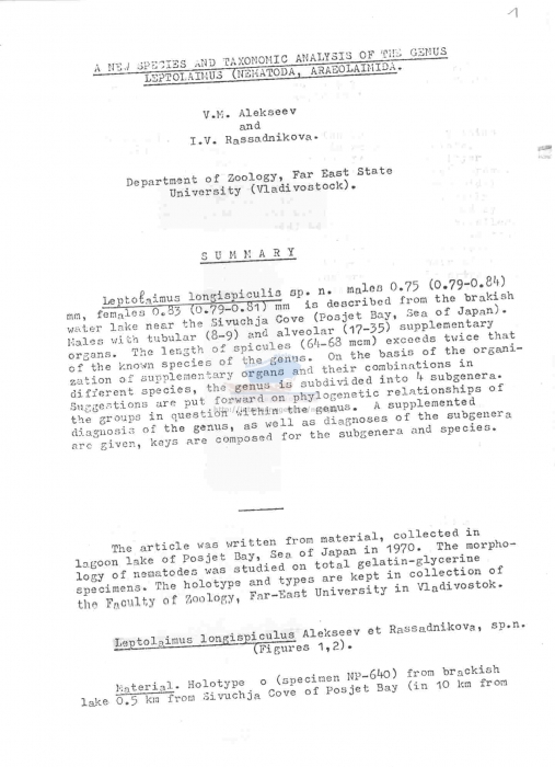 Leptolaimus longispiculus