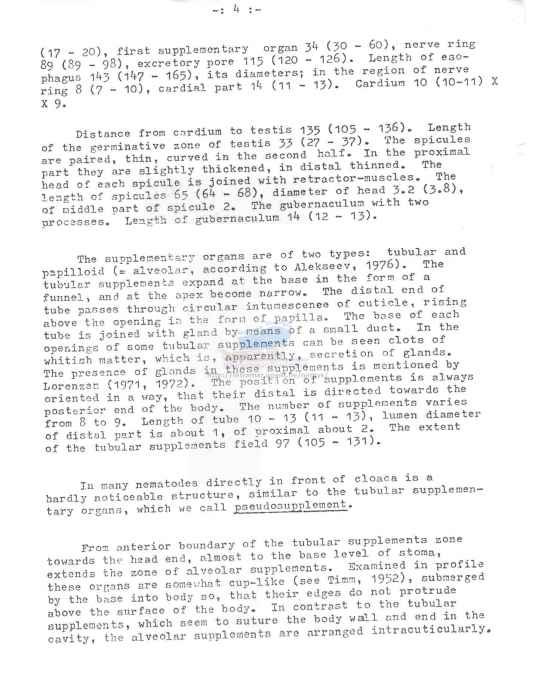 Leptolaimus longispiculus