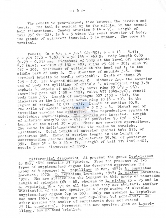 Leptolaimus longispiculus