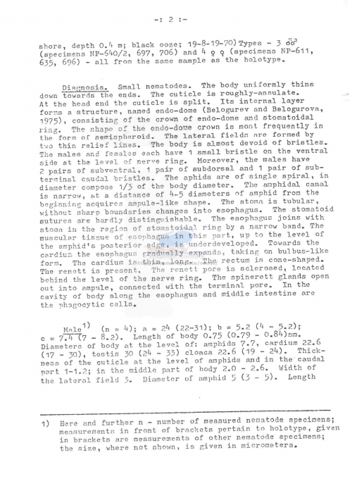 Leptolaimus longispiculus