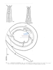 Nematode file-library of the Marine Biology Section (Ghent University, Belgium)