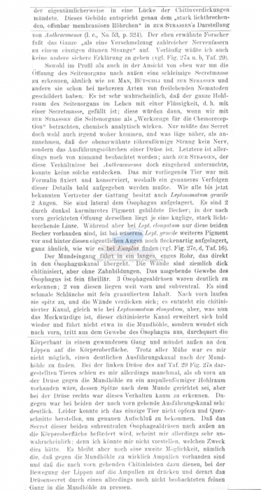 Leptosomatides gracile