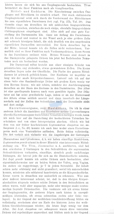 Leptosomatides gracile