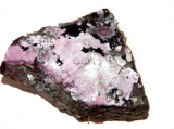 Lithothamnion polymorphum, author: Jef Wiktor & Agnieszka Tatarek