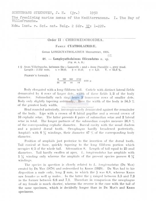 Longicyatholaimus filicaudatus