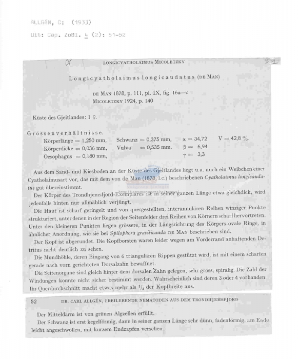 Longicyatholaimus longicaudatus