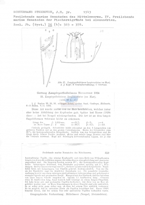 Longicyatholaimus longicaudatus