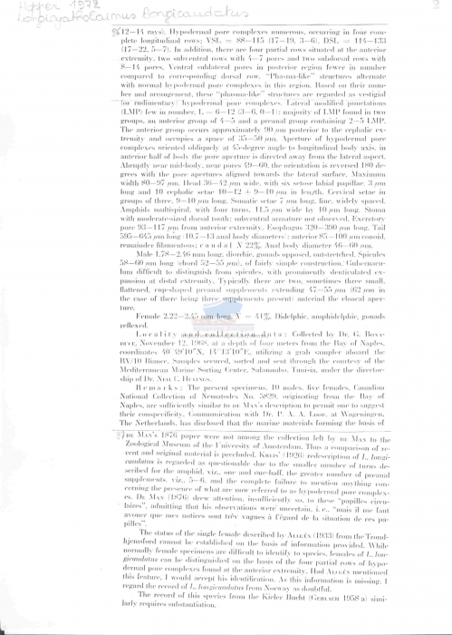 Longicyatholaimus longicaudatus