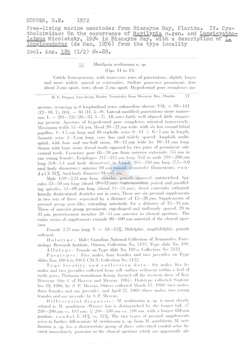 Marilynia oculissoma