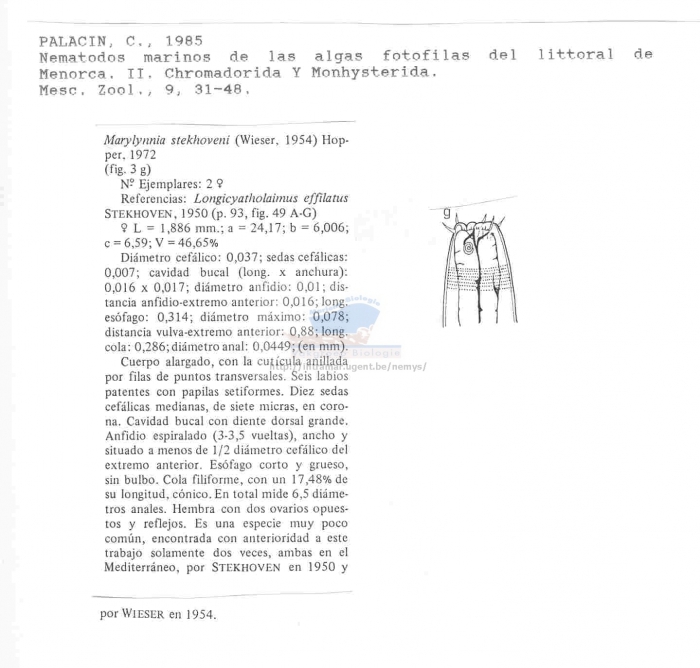 Marilynia stekhoveni