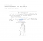 Metachromadora horridus