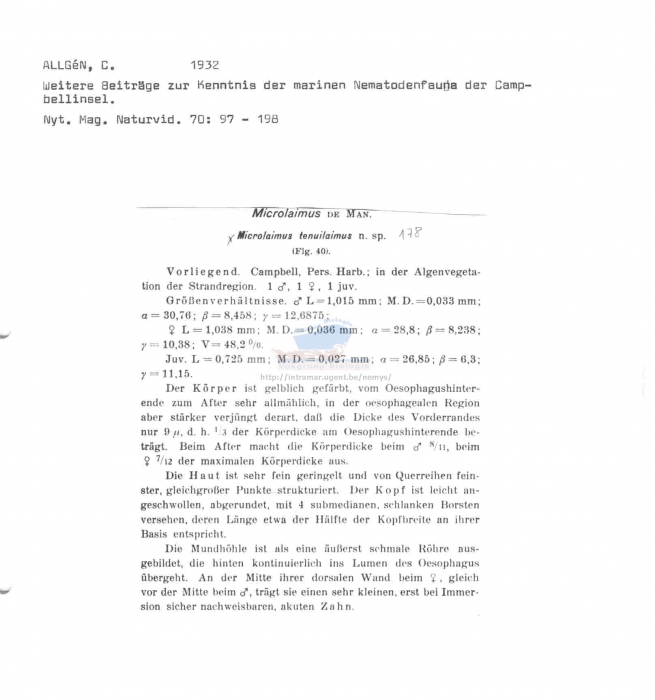 Microlaimus tenuilaimus