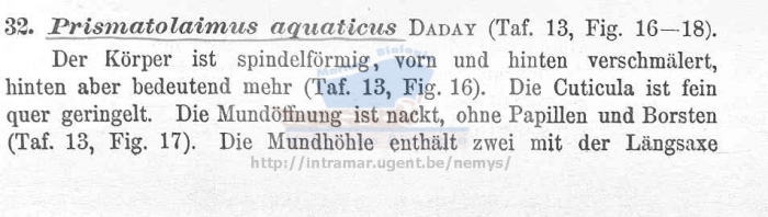 Prismatolaimus aquaticus