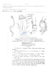 Nematode file-library of the Marine Biology Section (Ghent University, Belgium)