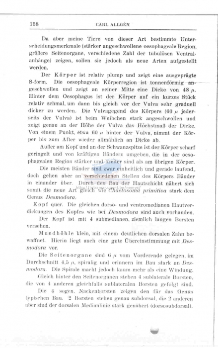 Prochaetosoma campbelli