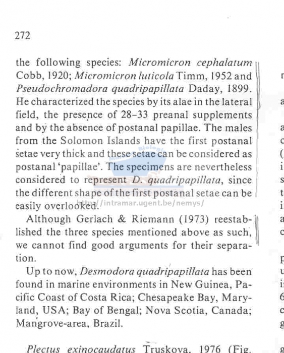 Pseudochromadora quadripapillata