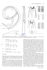 Nematode file-library of the Marine Biology Section (Ghent University, Belgium)