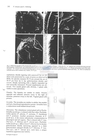 Nematode file-library of the Marine Biology Section (Ghent University, Belgium)