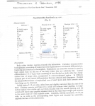 Ptycholaimellus lizardiensis