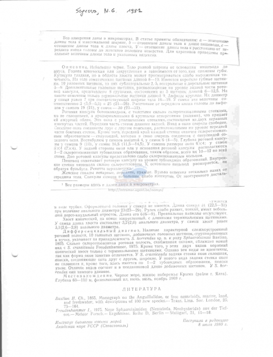 Sphaerolaimus horrendus