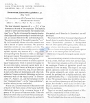 Thoracostoma galatheae