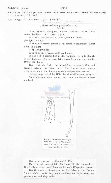 Viscosia glaberoides