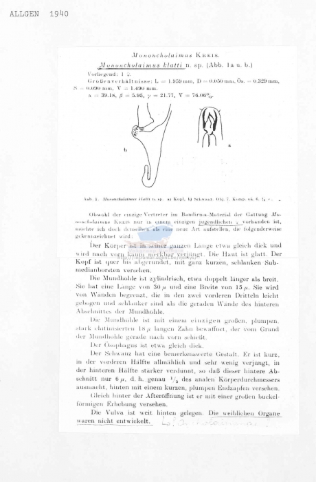 Viscosia klatti