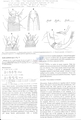 Nematode file-library of the Marine Biology Section (Ghent University, Belgium)