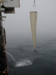 Ring net - 3/4m diameter ring 