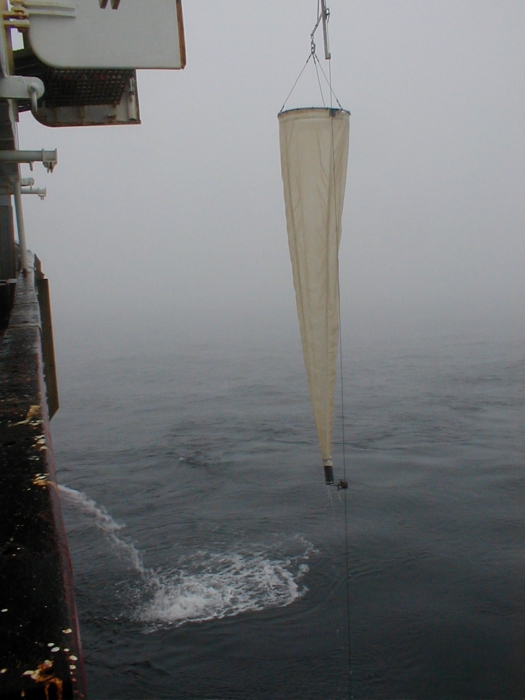 Ring net - 3/4m diameter ring Ring net - 3/4m diameter ring