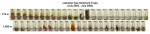 Sediment traps