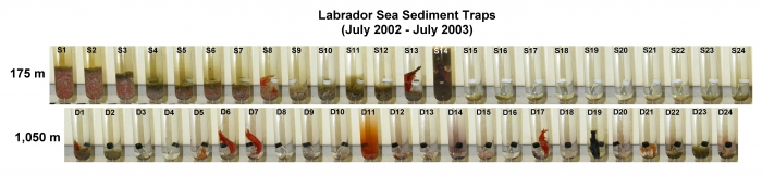 Sediment traps
