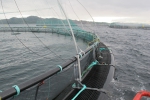 VLIZ website: Fisheries and aquaculture: Aquaculture
