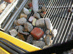 Lenteprikkel 2004