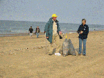 Wandelen met volle vuilniszakken tijdens Lenteprikkel in Knokke op 27/03/2004