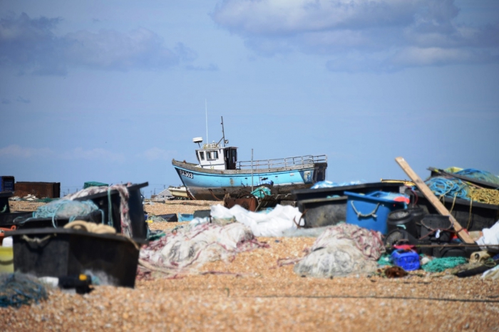 Dungeness