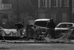 Travelling exhibition